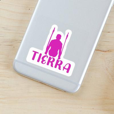 Tierra Sticker Ringturnerin Laptop Image