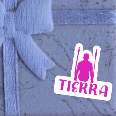 Tierra Sticker Ringturnerin Gift package Image