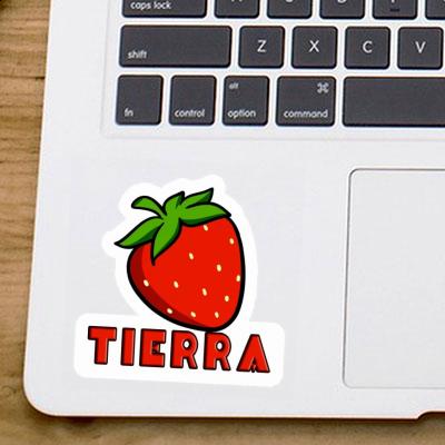 Sticker Strawberry Tierra Notebook Sticker Strawberry Tierra Gift package Image