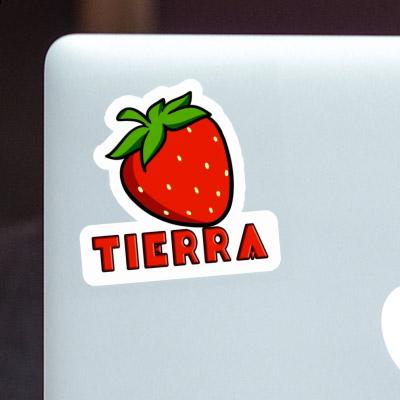 Erdbeere Aufkleber Tierra Laptop Erdbeere Aufkleber Tierra Laptop Image