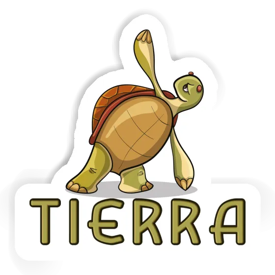 Autocollant Tierra Tortue yoga Notebook Autocollant Tierra Tortue yoga Gift package Image