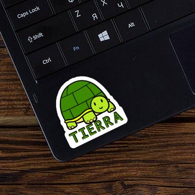 Autocollant Tortue Tierra Autocollant Tortue Tierra Image