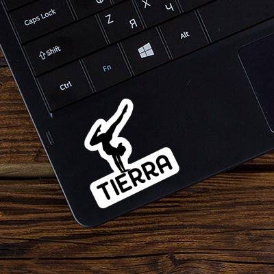 Autocollant Tierra Femme de yoga Notebook Autocollant Tierra Femme de yoga Gift package Image