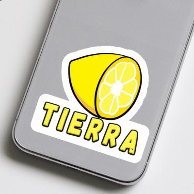 Tierra Sticker Citron Notebook Tierra Sticker Citron Gift package Image