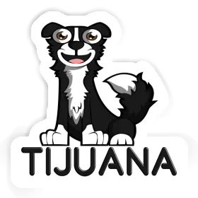 Border Collie Sticker Tijuana Image