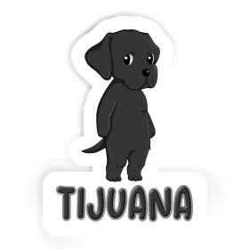 Tijuana Sticker Labrador Retriever Image