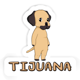 Sticker Tijuana Rhodesian Ridgeback Image