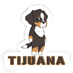 Berner Sennenhund Sticker Tijuana Image