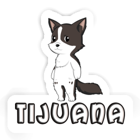 Sticker Border Collie Tijuana Image