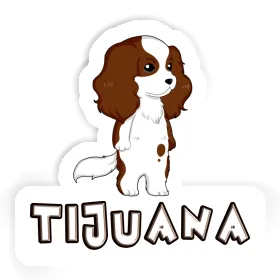 Tijuana Autocollant Cavalier King Charles Spaniel Image