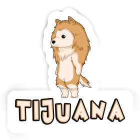 Tijuana Aufkleber Collie Image