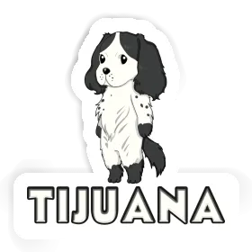 Tijuana Aufkleber English Cocker Spaniel Image