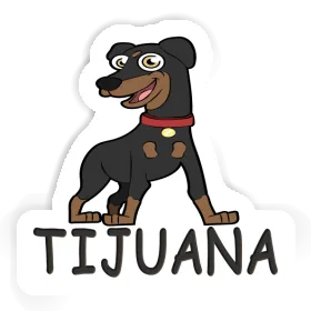 Autocollant Tijuana Pinscher Image