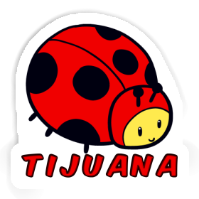 Sticker Tijuana Ladybug Image