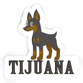 Tijuana Sticker Pinscher Image