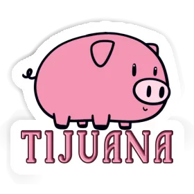 Tijuana Sticker Pig Image