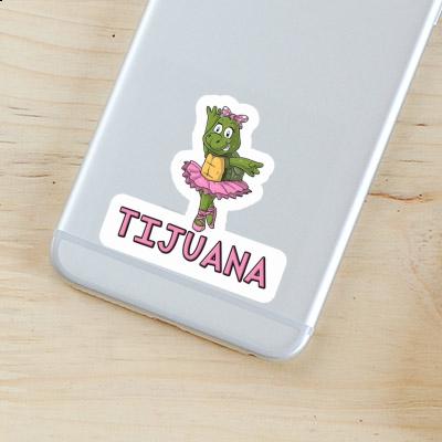 Tijuana Sticker Turtle Gift package Image