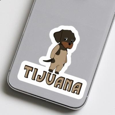 Autocollant Chien d'arrêt allemand à poil du Tijuana Gift package Image