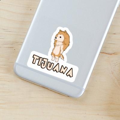 Tijuana Sticker Collie Gift package Image