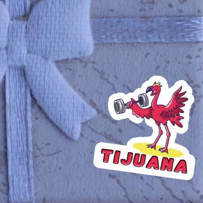 Tijuana Autocollant Flamant Gift package Image