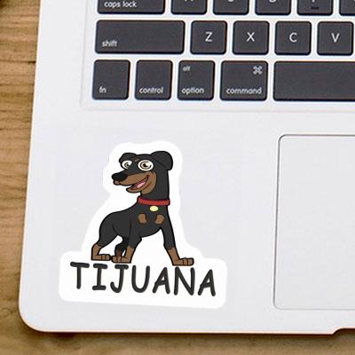 German Pinscher Sticker Tijuana Laptop Image