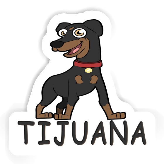 Pinscher Sticker Tijuana Gift package Image