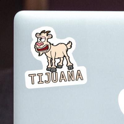 Sticker Goat Tijuana Gift package Image