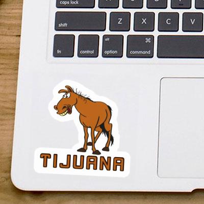 Sticker Horse Tijuana Image