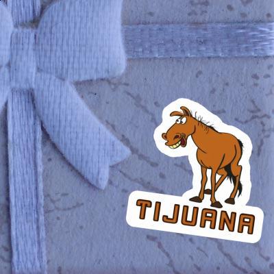 Sticker Horse Tijuana Gift package Image