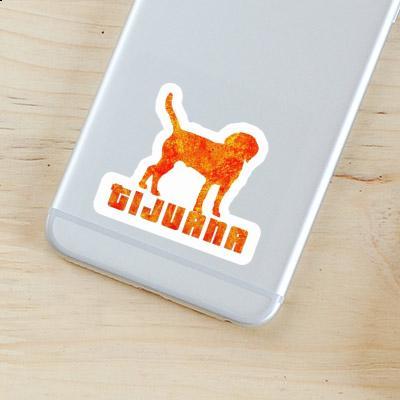 Tijuana Sticker Dog Gift package Image