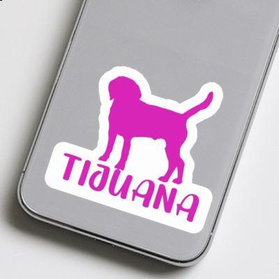 Aufkleber Tijuana Hund Gift package Image