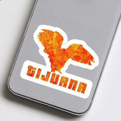 Sticker Owl Tijuana Laptop Image