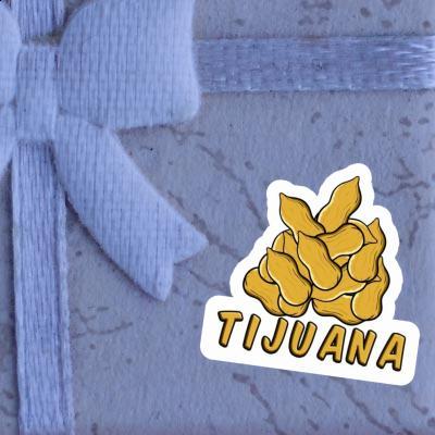 Sticker Nut Tijuana Notebook Image