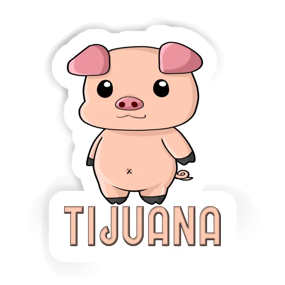 Pigg Sticker Tijuana Gift package Image