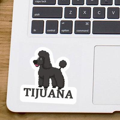 Poodle Sticker Tijuana Image