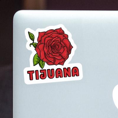 Autocollant Tijuana Rose Image