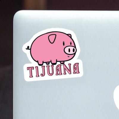 Cochon Autocollant Tijuana Cochon Autocollant Tijuana Image