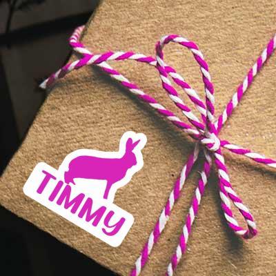 Autocollant Lapin Timmy Gift package Image