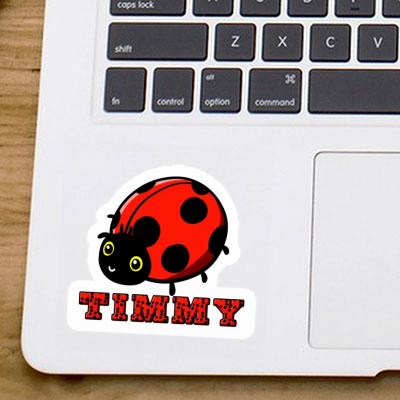 Autocollant Coccinelle Timmy Gift package Image