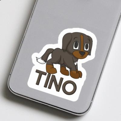 Bouvier bernois Autocollant Tino Gift package Image