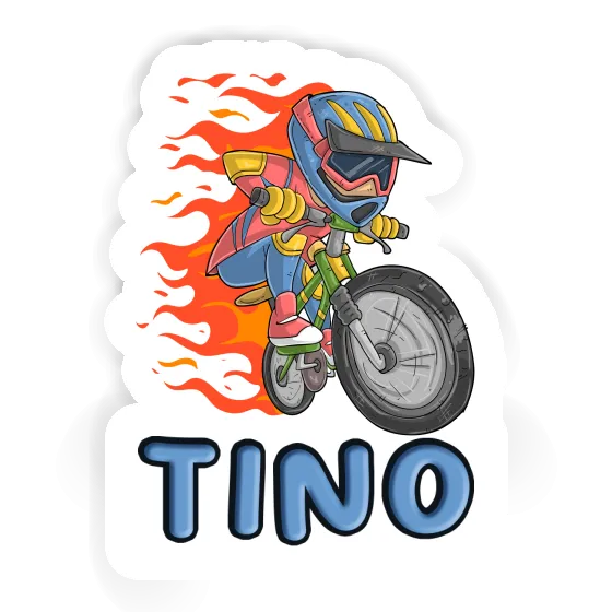 Autocollant Tino Vététiste Gift package Image