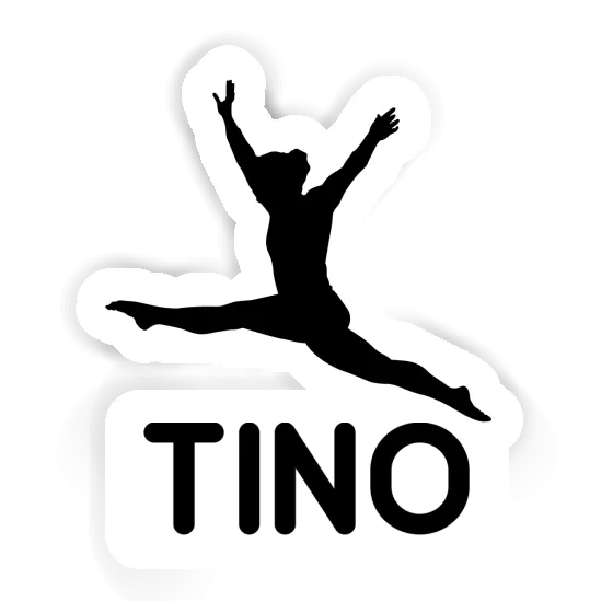 Autocollant Tino Gymnaste Gift package Image