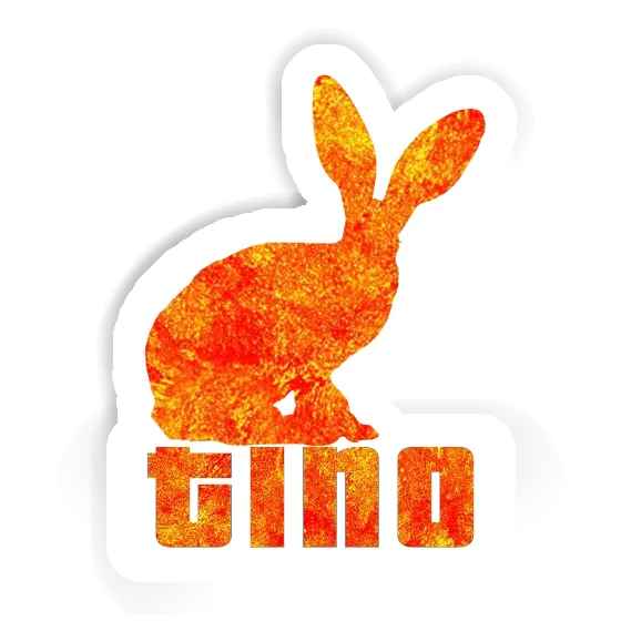 Tino Autocollant Lapin Gift package Image
