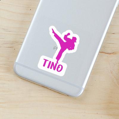 Tino Sticker Karateka Gift package Image