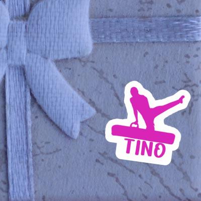 Autocollant Tino Gymnaste Gift package Image