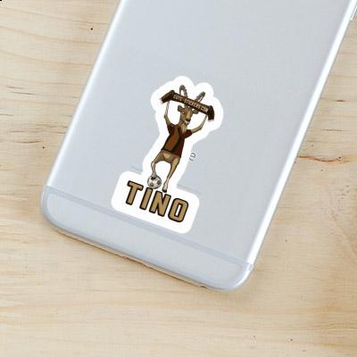 Bouquetin Autocollant Tino Image