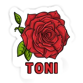 Autocollant Fleur de rose Toni Image