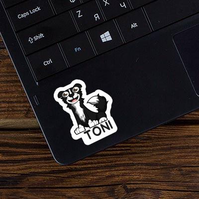 Sticker Toni Collie Laptop Sticker Toni Collie Laptop Image