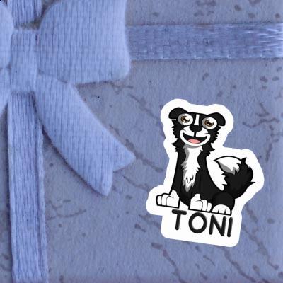 Sticker Toni Collie Notebook Sticker Toni Collie Gift package Image