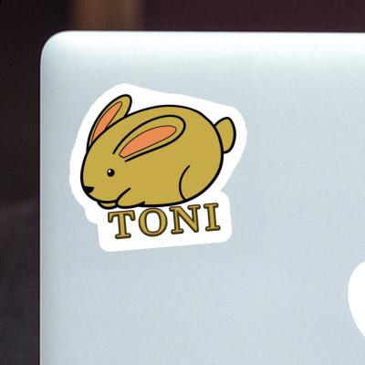 Lapin Autocollant Toni Notebook Lapin Autocollant Toni Gift package Image